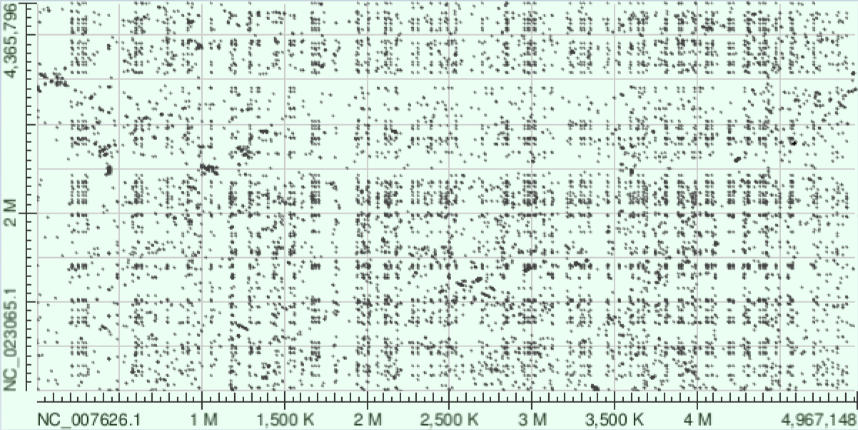 nucl