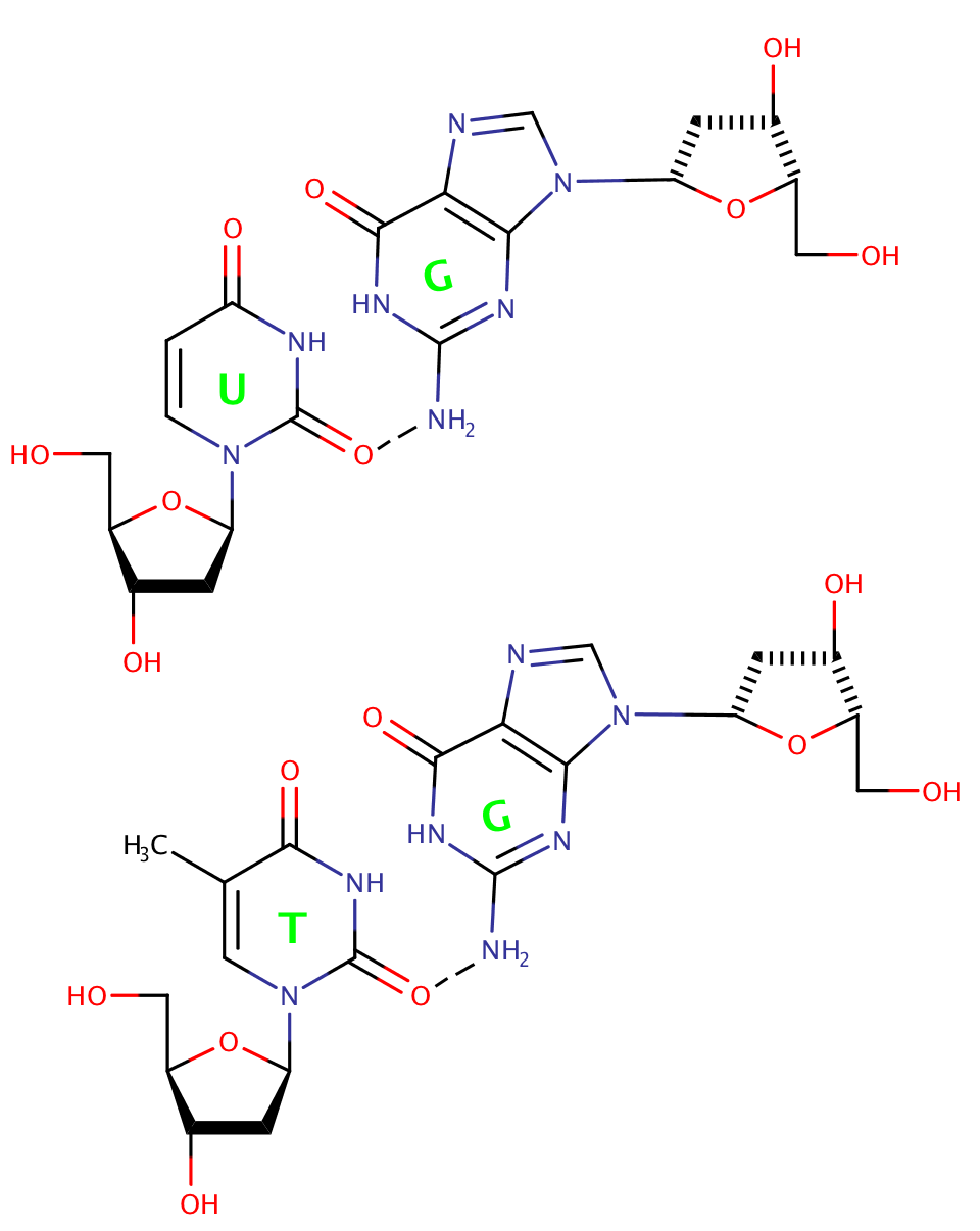 DNA